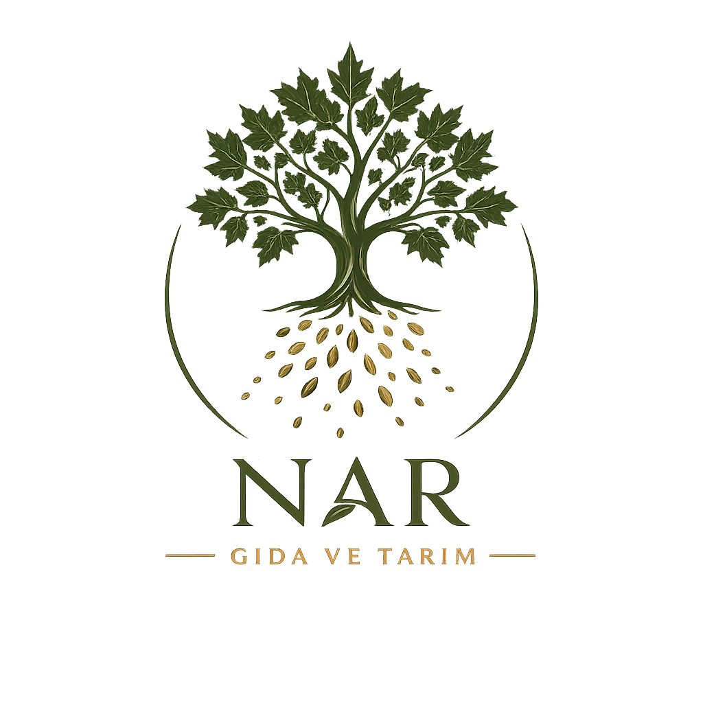 Narım Logo